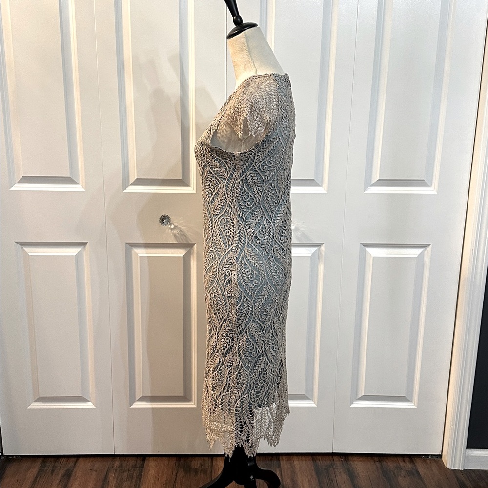 Elegant Lace Dress - Picture 5 of 6